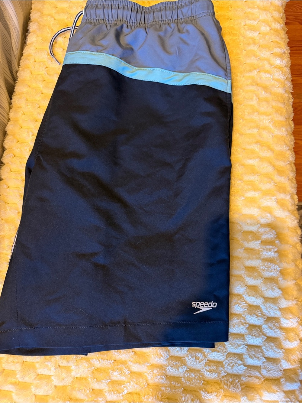 Speedo Navy Swim Trunks with Light Gray Waistband and Aqua Stripe